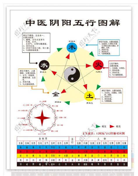 秋 五行|秋季 養生 陰陽五行 黄帝内経｜宏福中医研